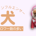 フォロワー数の多い犬インスタグラマー10選まとめ!