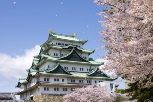 桜が吹雪く名古屋城の画像