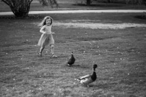 少女が鴨を追いかける画像